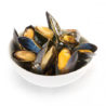 Mussels